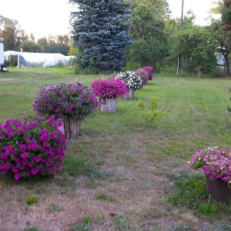 Auf Dem Gemuesehof An Der Spree