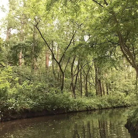 Auf Dem Gemuesehof An Der Spree