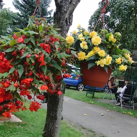 Auf Dem Gemuesehof An Der Spree