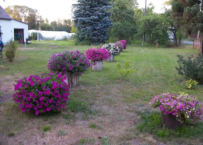 Auf Dem Gemuesehof An Der Spree
