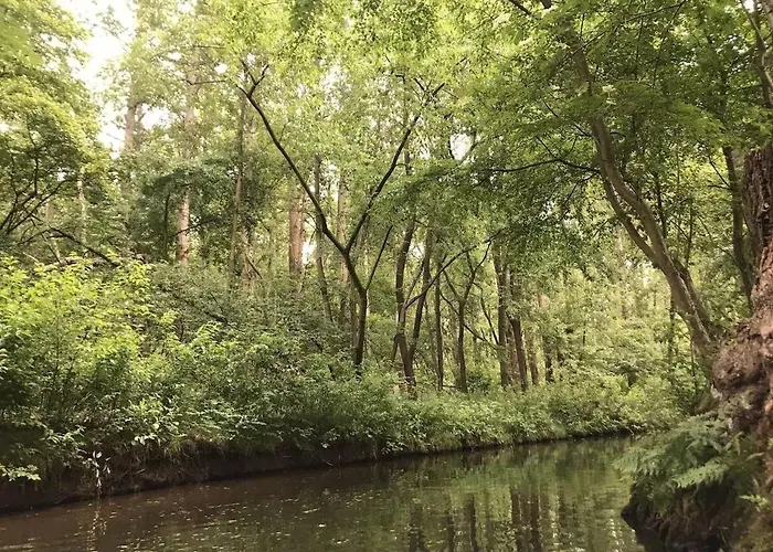 Auf Dem Gemuesehof An Der Spree