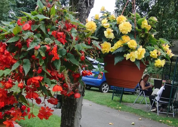 Auf Dem Gemuesehof An Der Spree